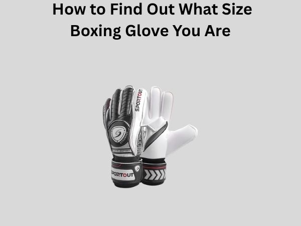 How to Find Out What Size Boxing Glove You Are